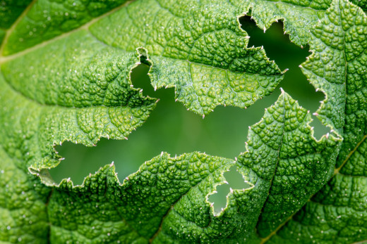 �1759463 �������(a): ����������:1920x1280